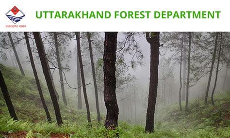 uttarakhand forest auction|Uttarakhand Forest Development Corporation Tenders .